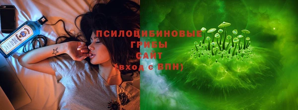 тгк Аркадак
