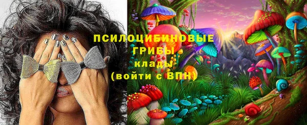 а пвп мука Армянск