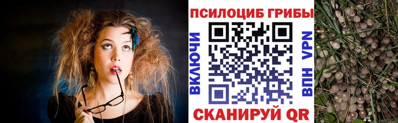 Купить закладки  Серов  Галлюциногенные грибы MAGIC MUSHROOMS 