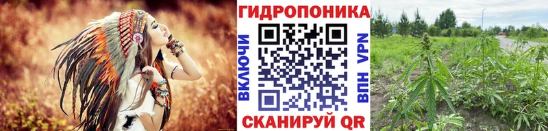 Купить закладки  Серов  Канабис VHQ 